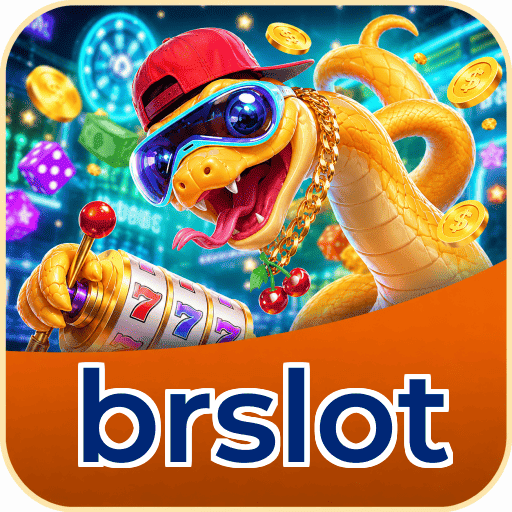 brslot Interface